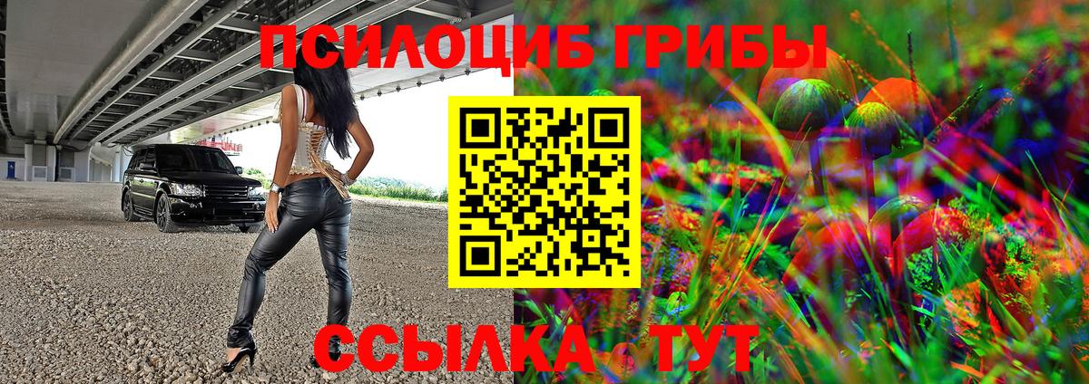 Котовск  Псилоцибиновые грибы MAGIC MUSHROOMS  Псилоцибиновые грибы Magic Shrooms  Вход с VPN 