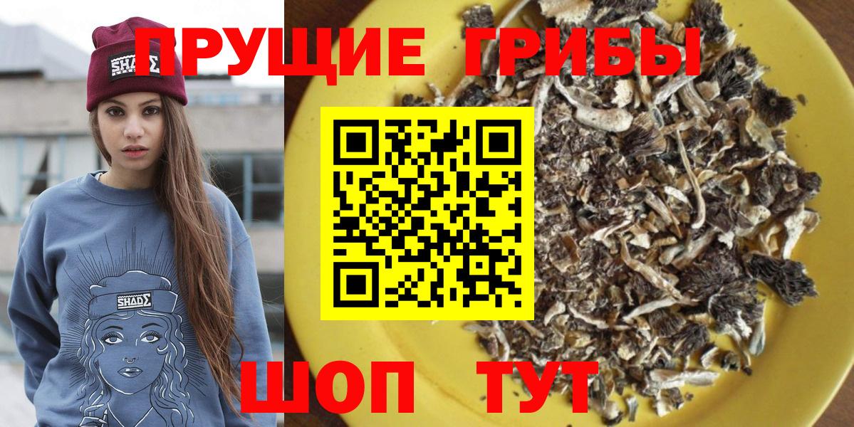 Псилоцибиновые грибы мицелий Котовск